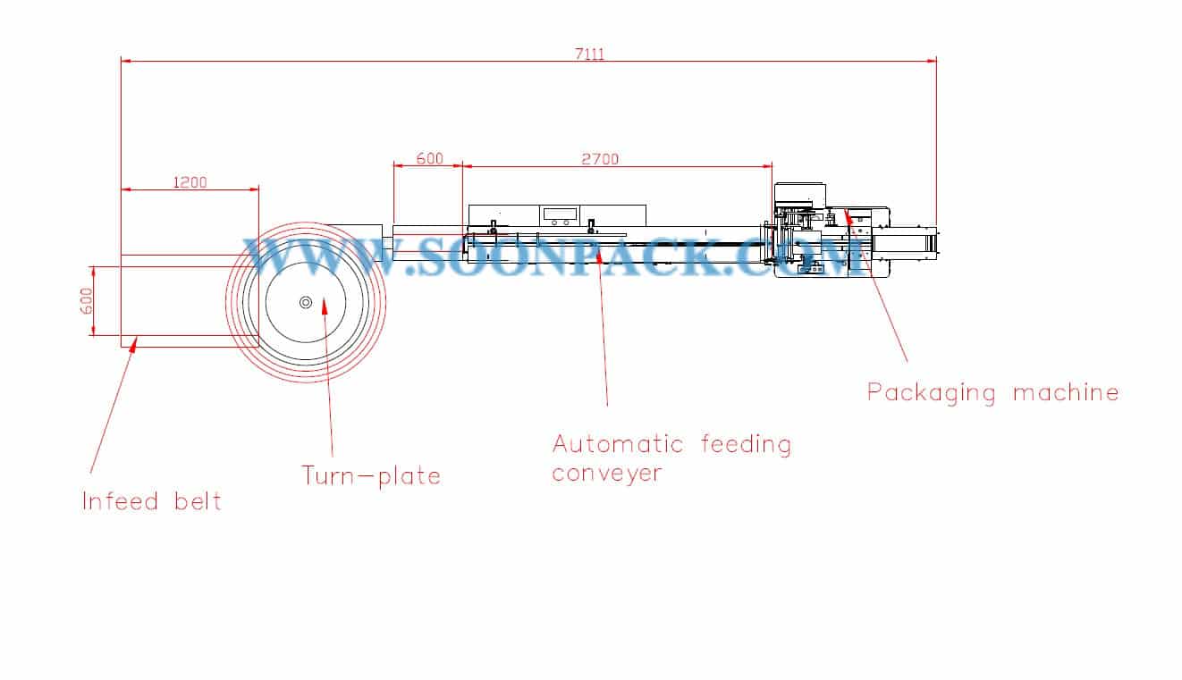 Linear Type Cake Sweet Packaging Map Tray Sealing Machine AVTS-550 - YouTube